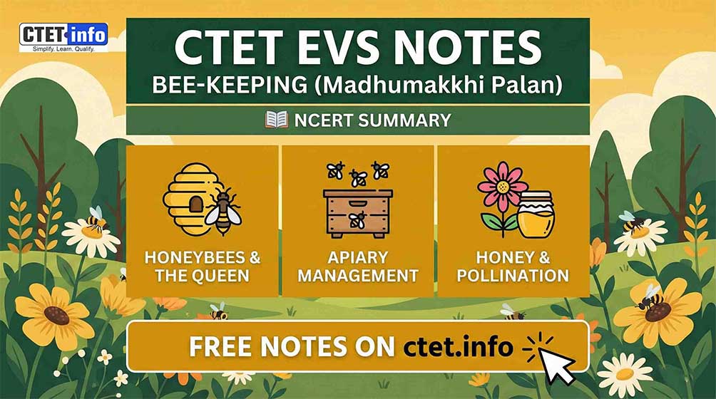 CTET EVS Notes Bee-keeping