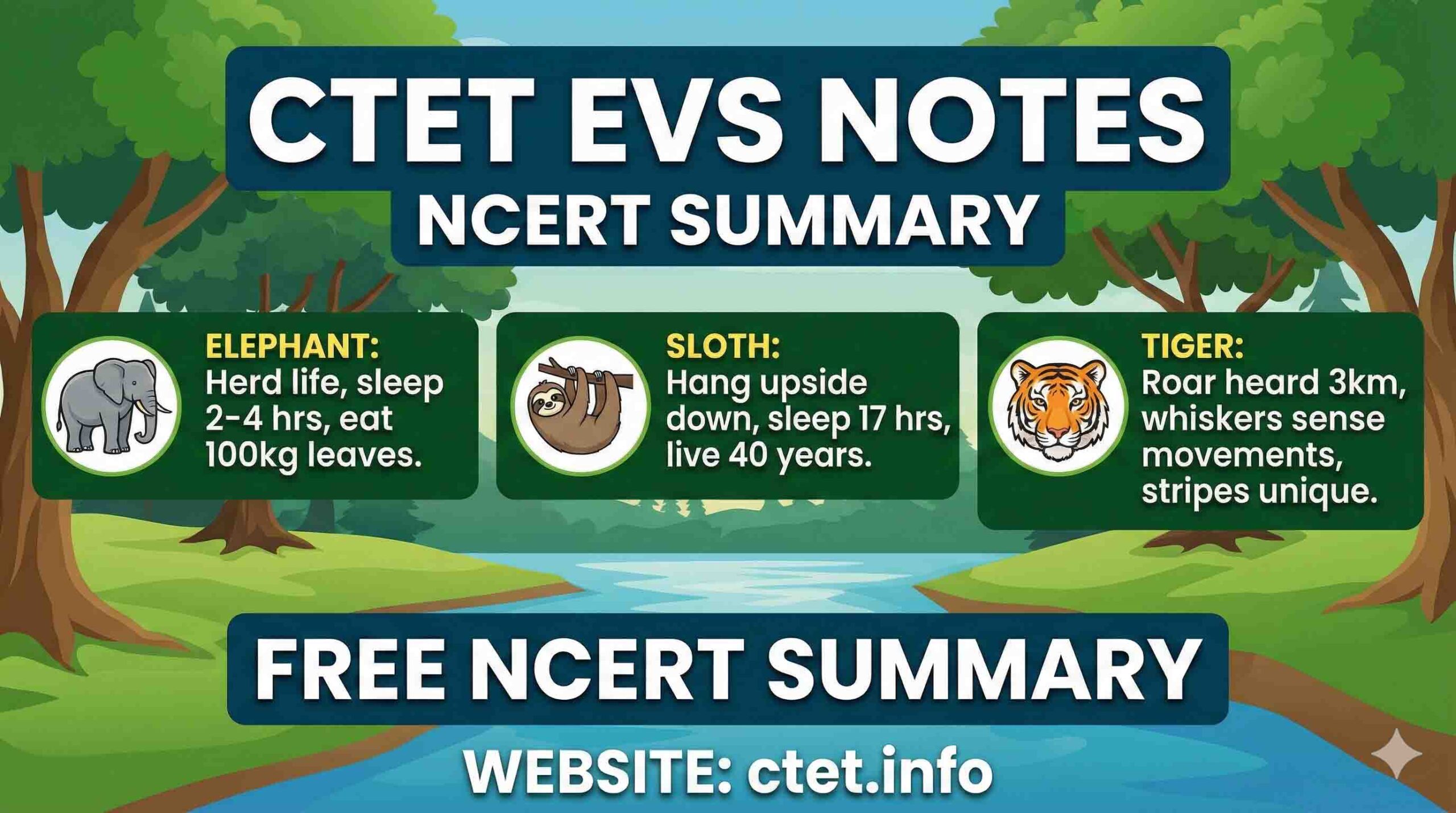 CTET EVS Notes